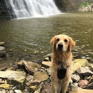 Meet your Posher, Samantha